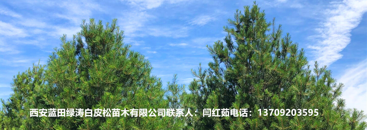 綠水青山就是金山銀山